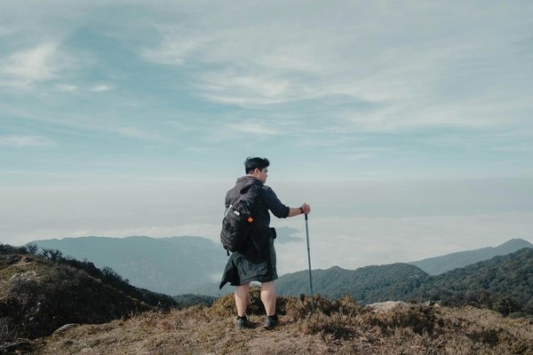 Comment choisir une croisière qui offre des excursions pour observer les dauphins en Floride?