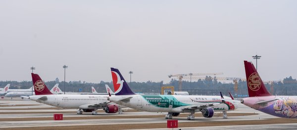 Comment planifier une visite des îles Féroé pour une immersion complète?